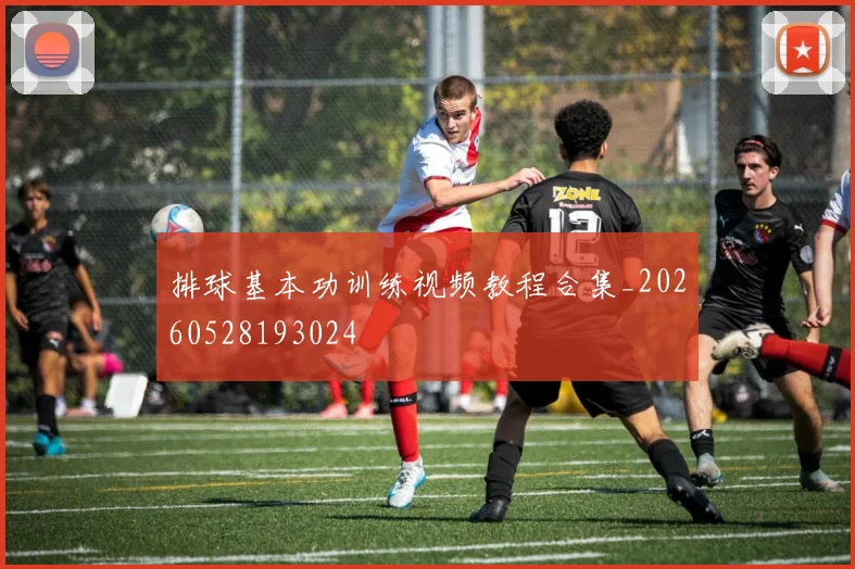 排球基本功训练视频教程合集_20260528193024